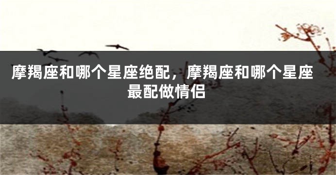 摩羯座和哪个星座绝配，摩羯座和哪个星座最配做情侣