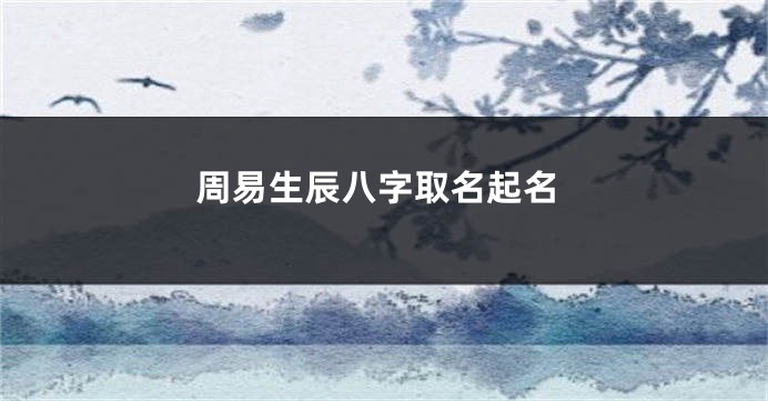 周易生辰八字取名起名