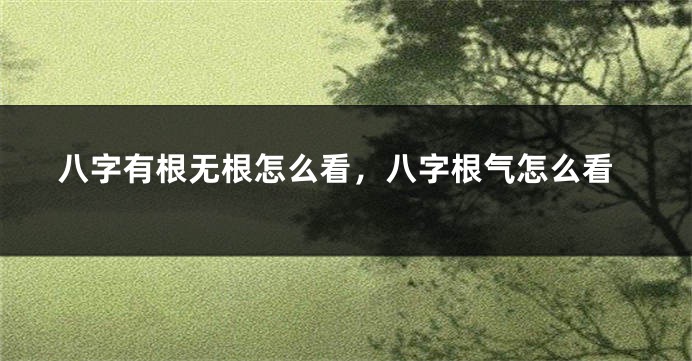 八字有根无根怎么看，八字根气怎么看