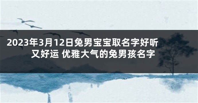 2023年3月12日兔男宝宝取名字好听又好运 优雅大气的兔男孩名字