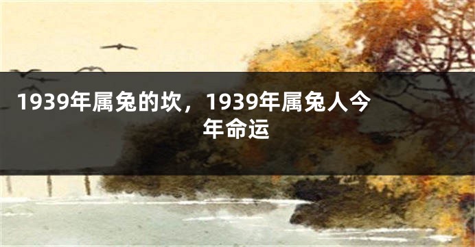 1939年属兔的坎，1939年属兔人今年命运