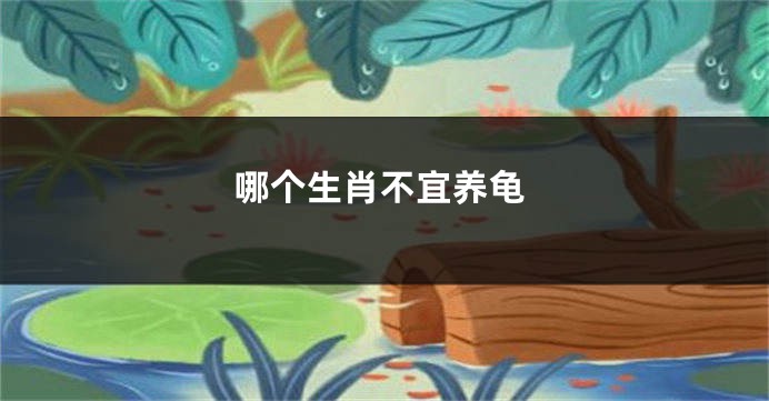 哪个生肖不宜养龟
