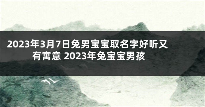 2023年3月7日兔男宝宝取名字好听又有寓意 2023年兔宝宝男孩