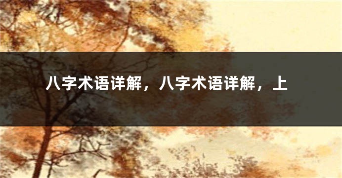 八字术语详解，八字术语详解，上