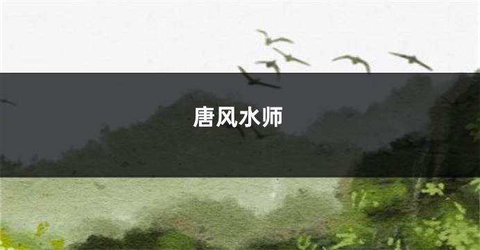 唐风水师