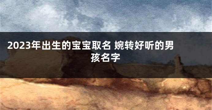 2023年出生的宝宝取名 婉转好听的男孩名字