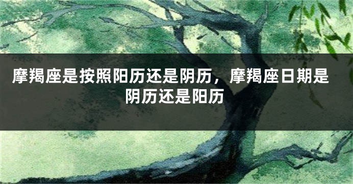 摩羯座是按照阳历还是阴历，摩羯座日期是阴历还是阳历