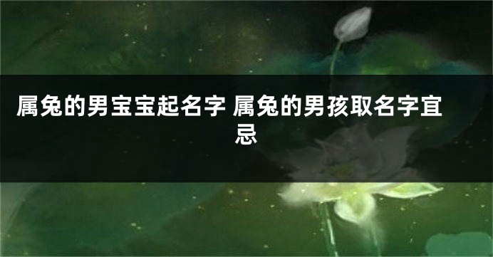 属兔的男宝宝起名字 属兔的男孩取名字宜忌