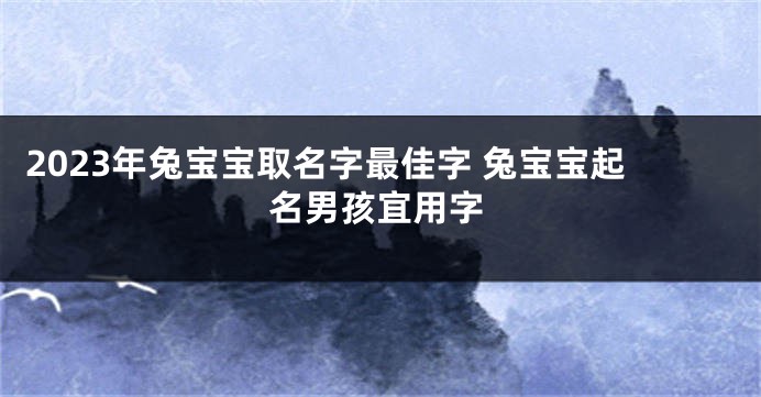 2023年兔宝宝取名字最佳字 兔宝宝起名男孩宜用字