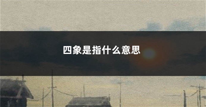 四象是指什么意思