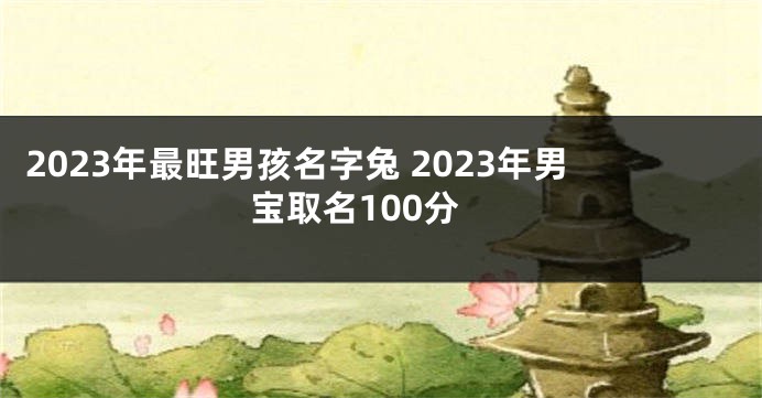 2023年最旺男孩名字兔 2023年男宝取名100分