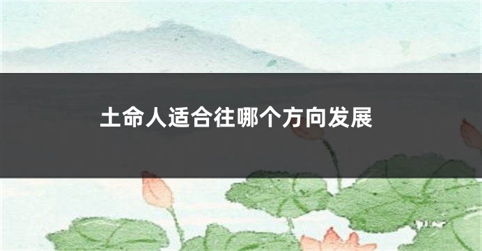土命人适合往哪个方向发展