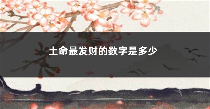 土命最发财的数字是多少