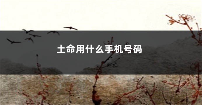 土命用什么手机号码