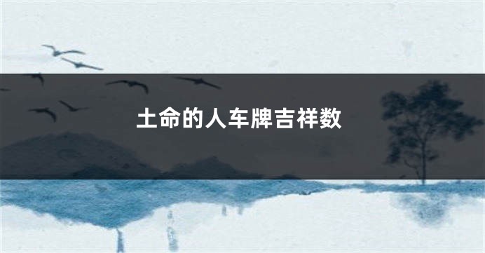 土命的人车牌吉祥数