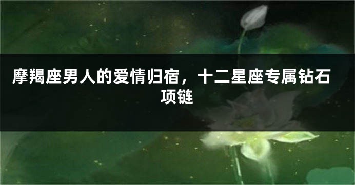 摩羯座男人的爱情归宿，十二星座专属钻石项链