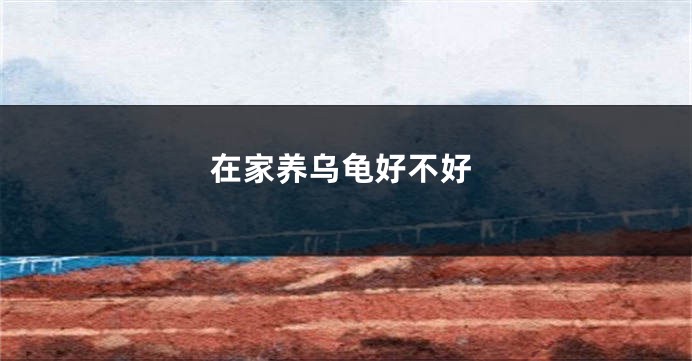 在家养乌龟好不好