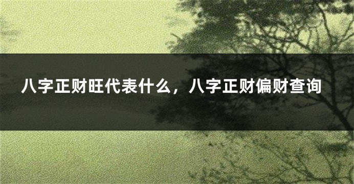 八字正财旺代表什么，八字正财偏财查询