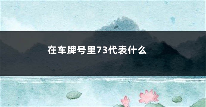 在车牌号里73代表什么