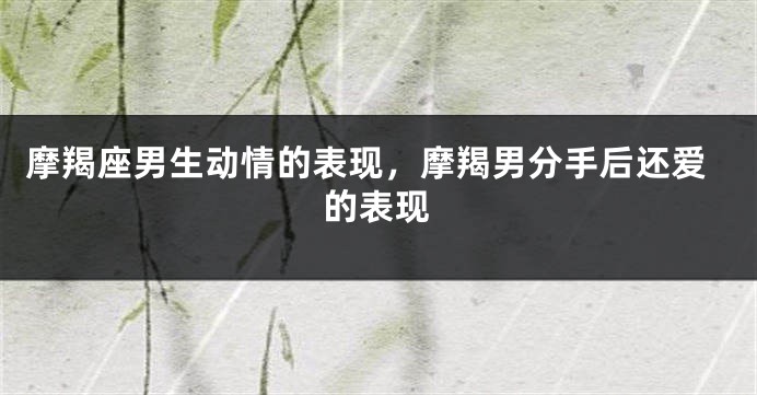 摩羯座男生动情的表现，摩羯男分手后还爱的表现