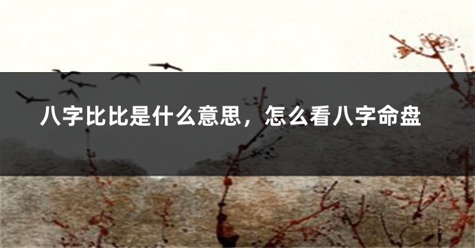 八字比比是什么意思，怎么看八字命盘