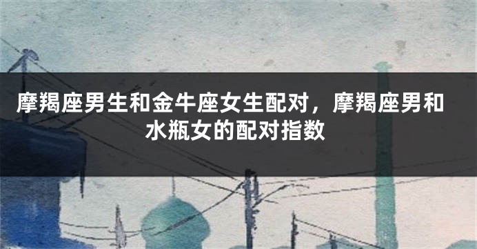摩羯座男生和金牛座女生配对，摩羯座男和水瓶女的配对指数