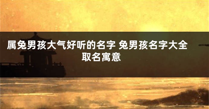 属兔男孩大气好听的名字 兔男孩名字大全 取名寓意
