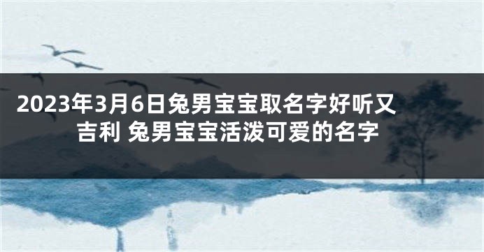2023年3月6日兔男宝宝取名字好听又吉利 兔男宝宝活泼可爱的名字