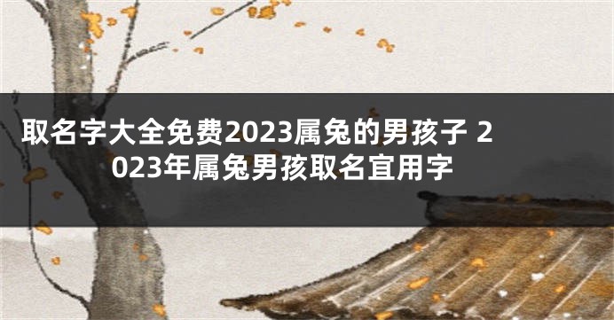 取名字大全免费2023属兔的男孩子 2023年属兔男孩取名宜用字