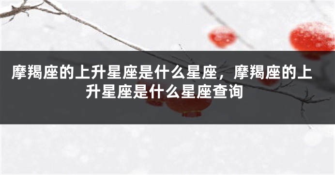 摩羯座的上升星座是什么星座，摩羯座的上升星座是什么星座查询