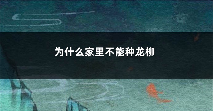 为什么家里不能种龙柳