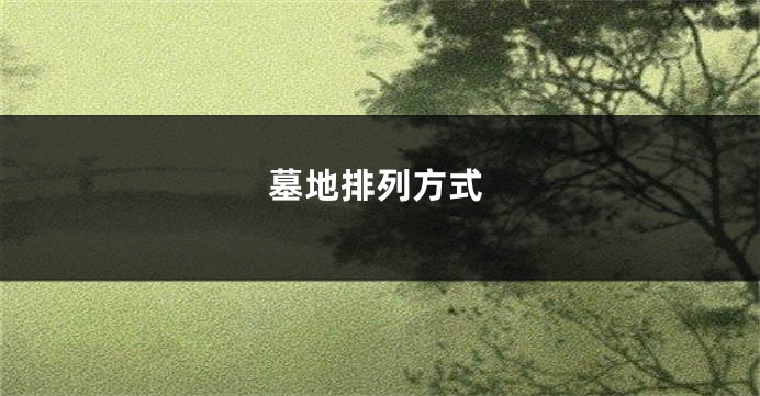 墓地排列方式