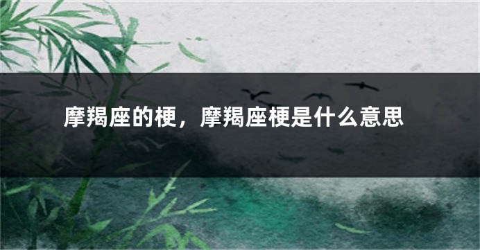 摩羯座的梗，摩羯座梗是什么意思