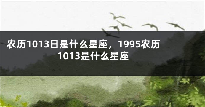 农历1013日是什么星座，1995农历1013是什么星座