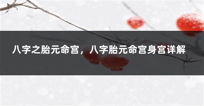 八字之胎元命宫，八字胎元命宫身宫详解