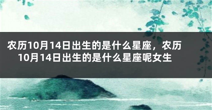农历10月14日出生的是什么星座，农历10月14日出生的是什么星座呢女生