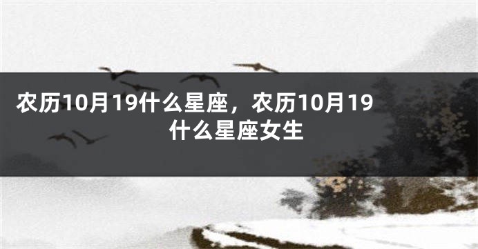 农历10月19什么星座，农历10月19什么星座女生