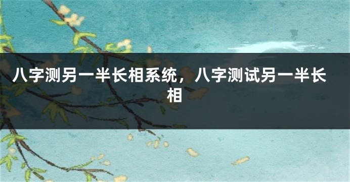 八字测另一半长相系统，八字测试另一半长相