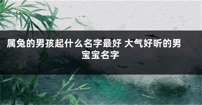 属兔的男孩起什么名字最好 大气好听的男宝宝名字