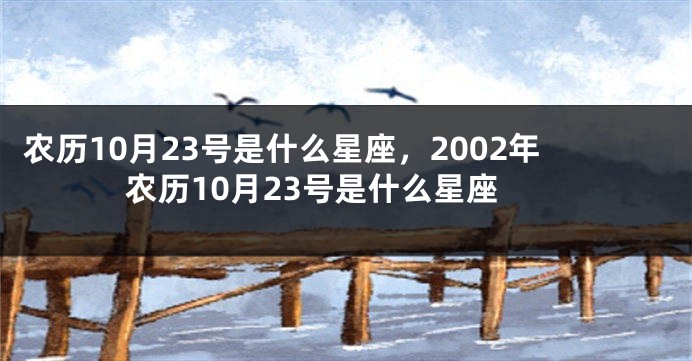 农历10月23号是什么星座，2002年农历10月23号是什么星座