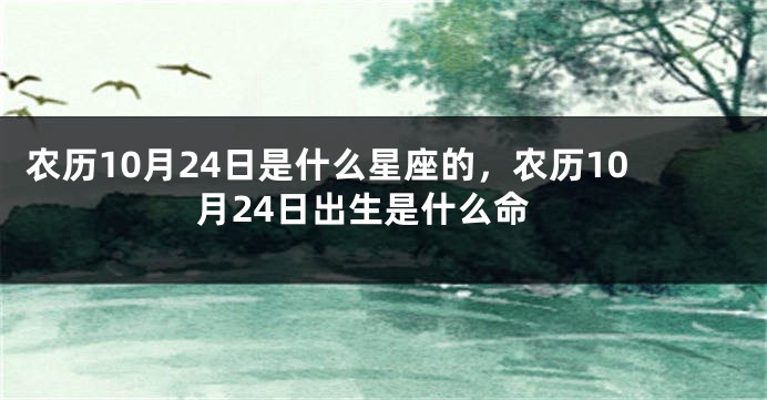 农历10月24日是什么星座的，农历10月24日出生是什么命