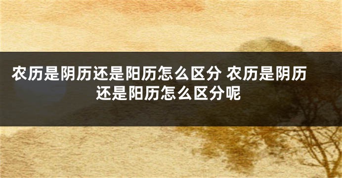 农历是阴历还是阳历怎么区分 农历是阴历还是阳历怎么区分呢