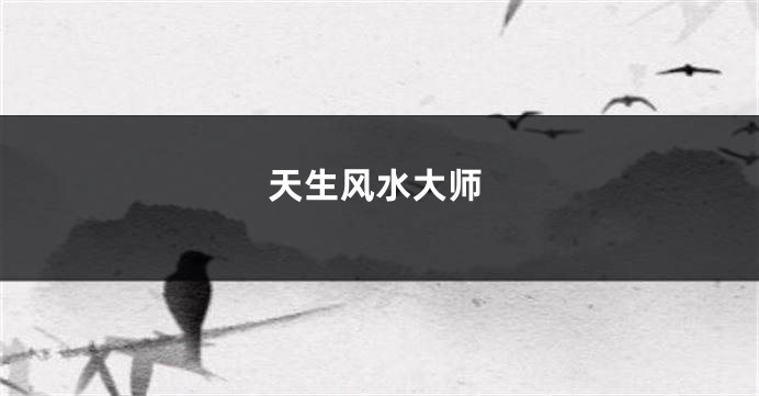 天生风水大师