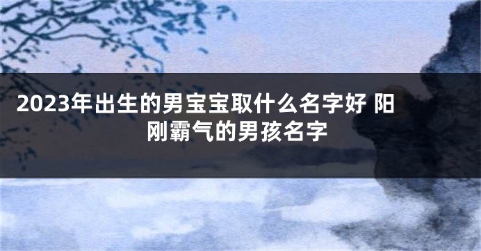 2023年出生的男宝宝取什么名字好 阳刚霸气的男孩名字