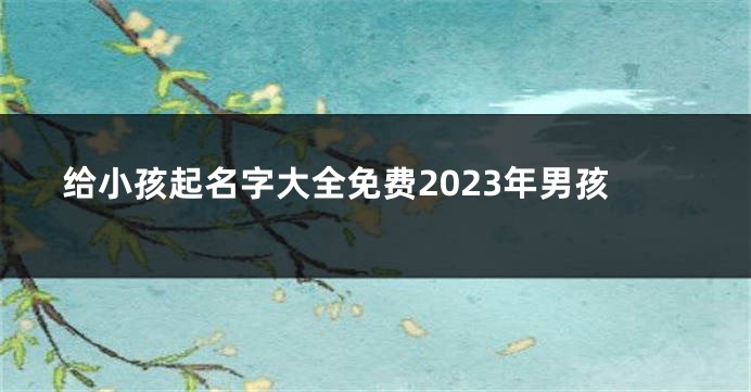 给小孩起名字大全免费2023年男孩