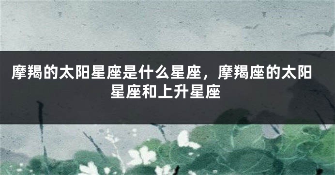 摩羯的太阳星座是什么星座，摩羯座的太阳星座和上升星座