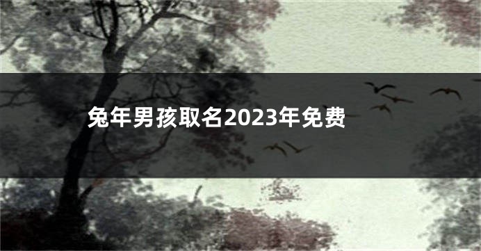 兔年男孩取名2023年免费