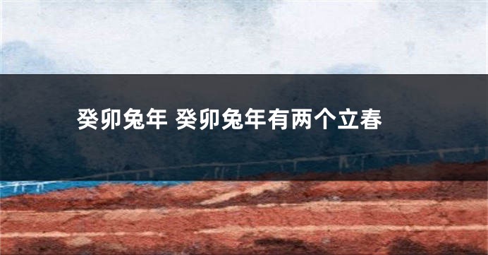 癸卯兔年 癸卯兔年有两个立春