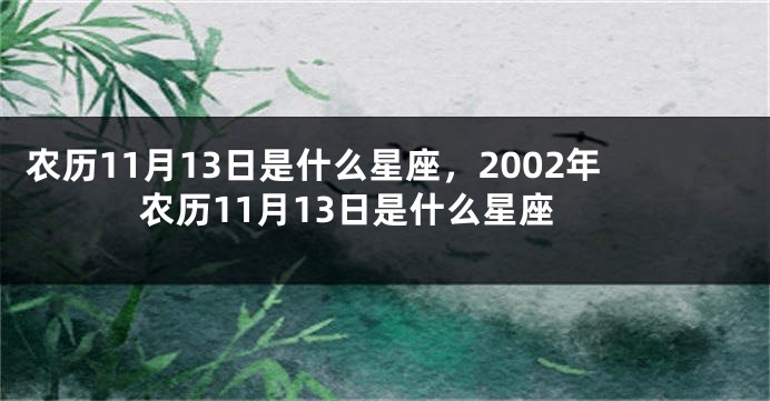 农历11月13日是什么星座，2002年农历11月13日是什么星座