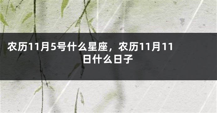 农历11月5号什么星座，农历11月11日什么日子